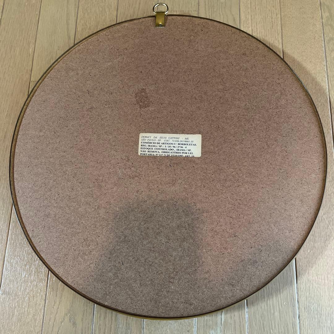 青色蝶　円形　壁掛け