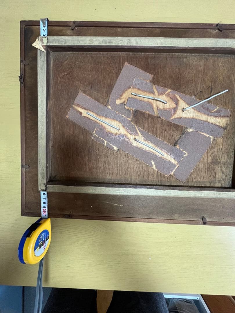 アユ　鮎の剥製　壁掛け