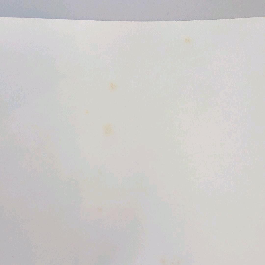 ドナルドフェイゲンポスター