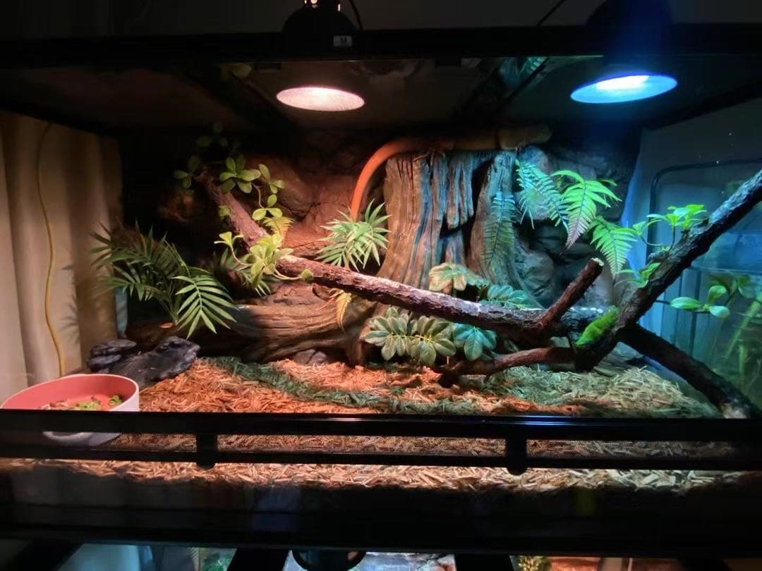 90x45x45cm爬虫類両生類飼育ケージ、組み立て式　ガラス飼育ケージ卸販売