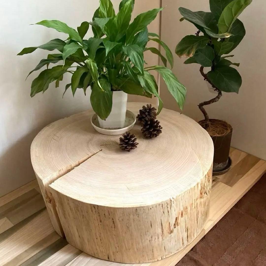 特大直径47cm 切り株　スツール　サイドテーブル　樹齢約80年　ハンドメイドD