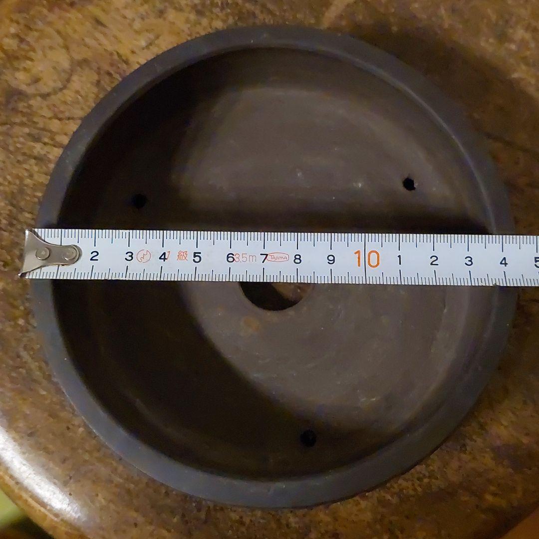 ✴️再お値下げ☆盆栽　盆栽鉢　泥珠　常滑焼