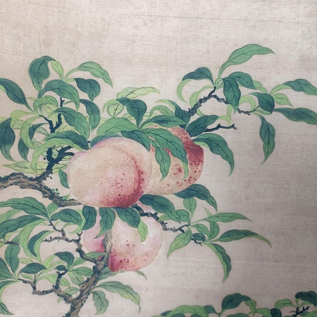 邹一桂「蟠桃図」三尺中堂掛け軸 付属封筒・証明書付 77×175cm