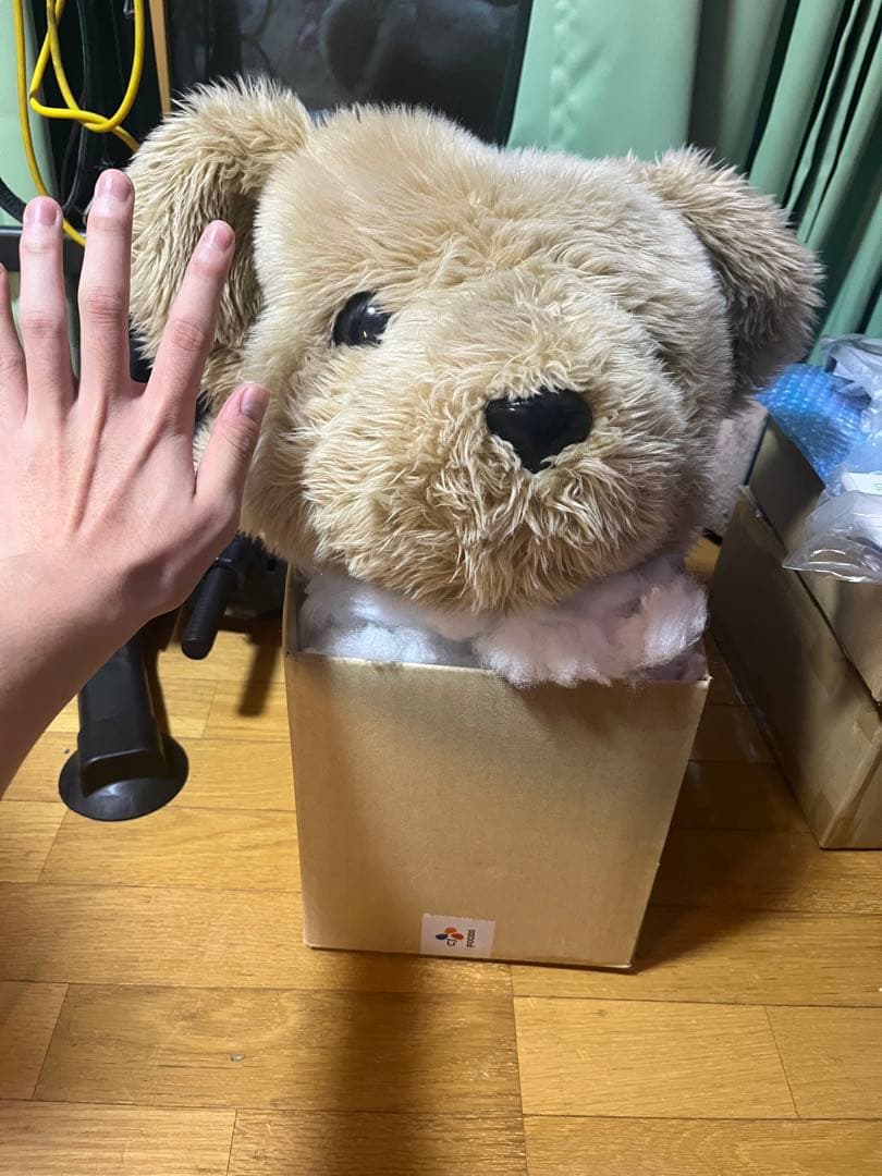 絞め技練習で犠牲になったクマのぬいぐるみの生首