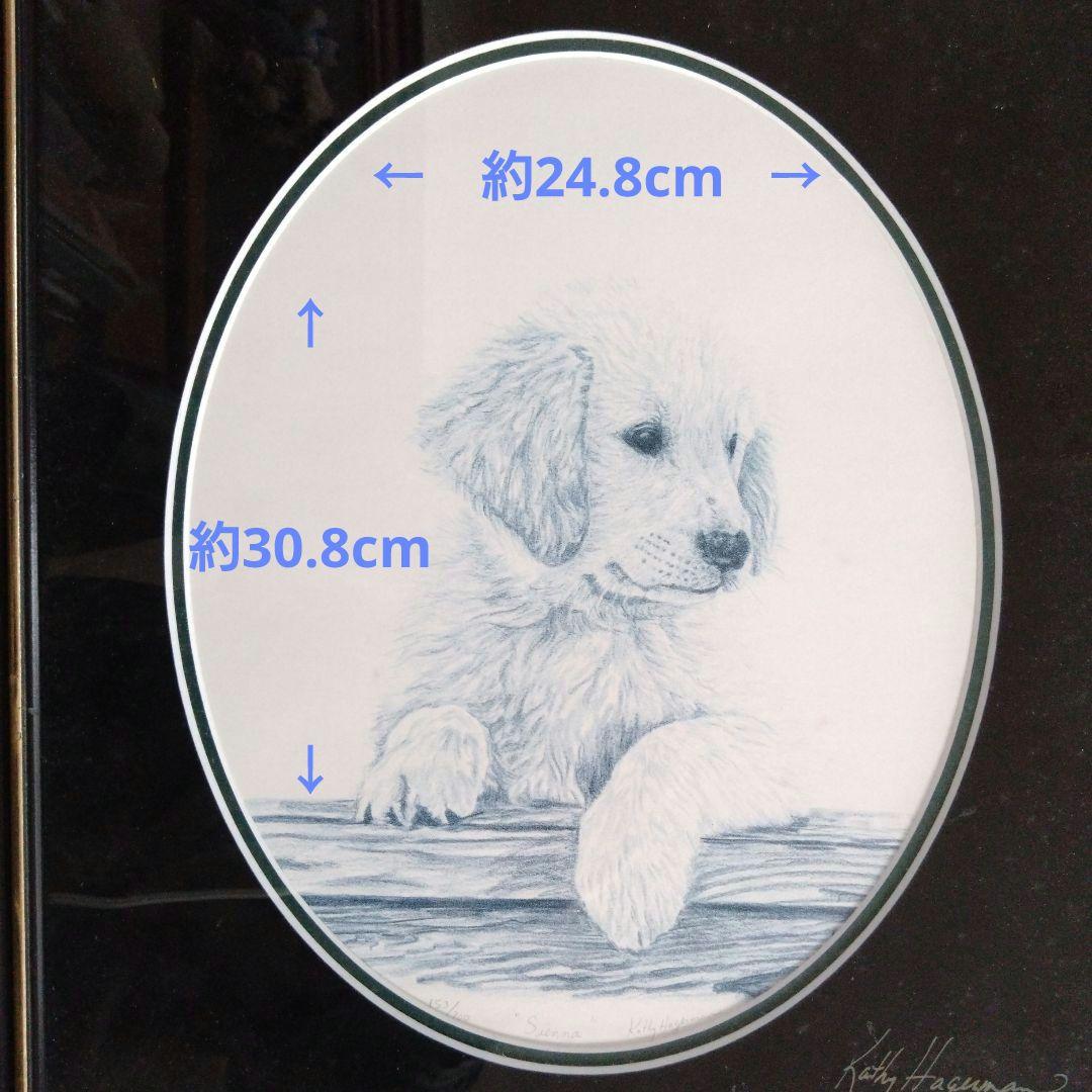 *＊*Kathy Hagerman ❧SIENNA❦ ゴールデンレトリバー*＊*