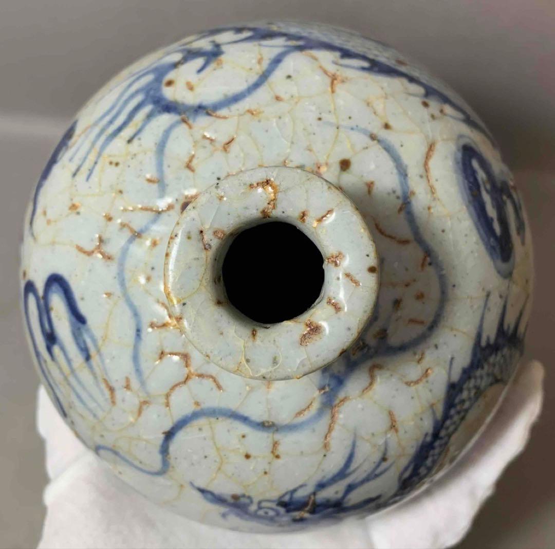 中国 染付龍絵梅瓶　f2250917