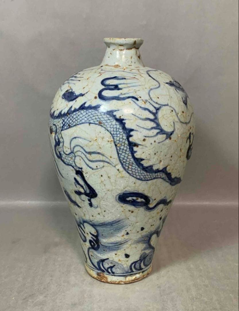 中国 染付龍絵梅瓶　f2250917