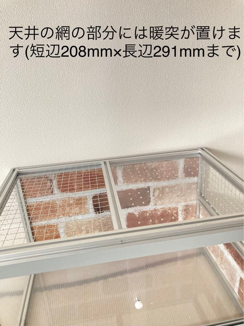 小動物、爬虫類