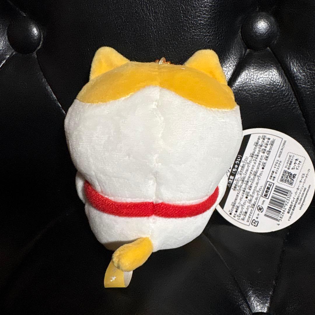 ハチワレ　招福