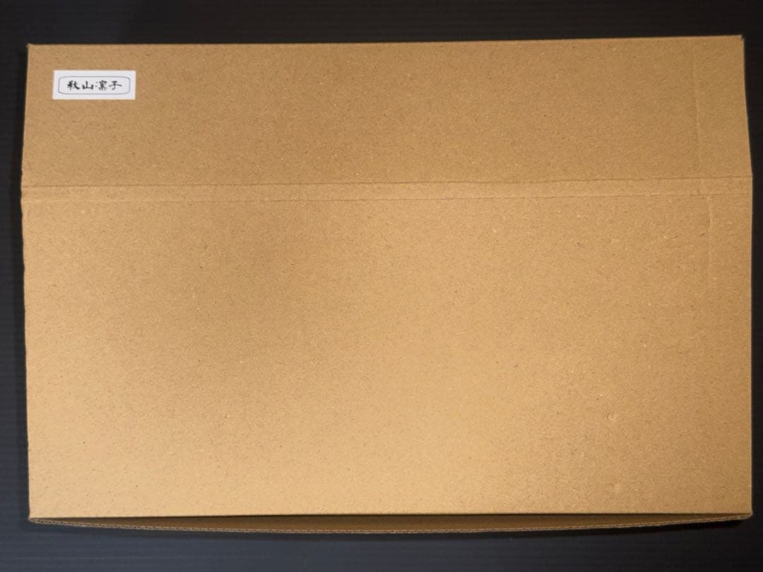 対魔忍 秋山凛子 ガレージキット