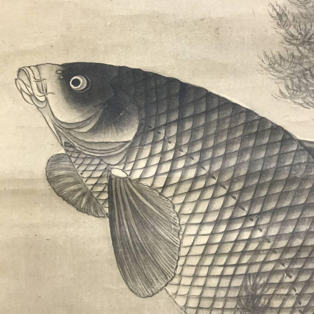 模写/円山応挙/鯉図/游鯉/遊鯉/花鳥図/掛軸☆宝船☆AK-617