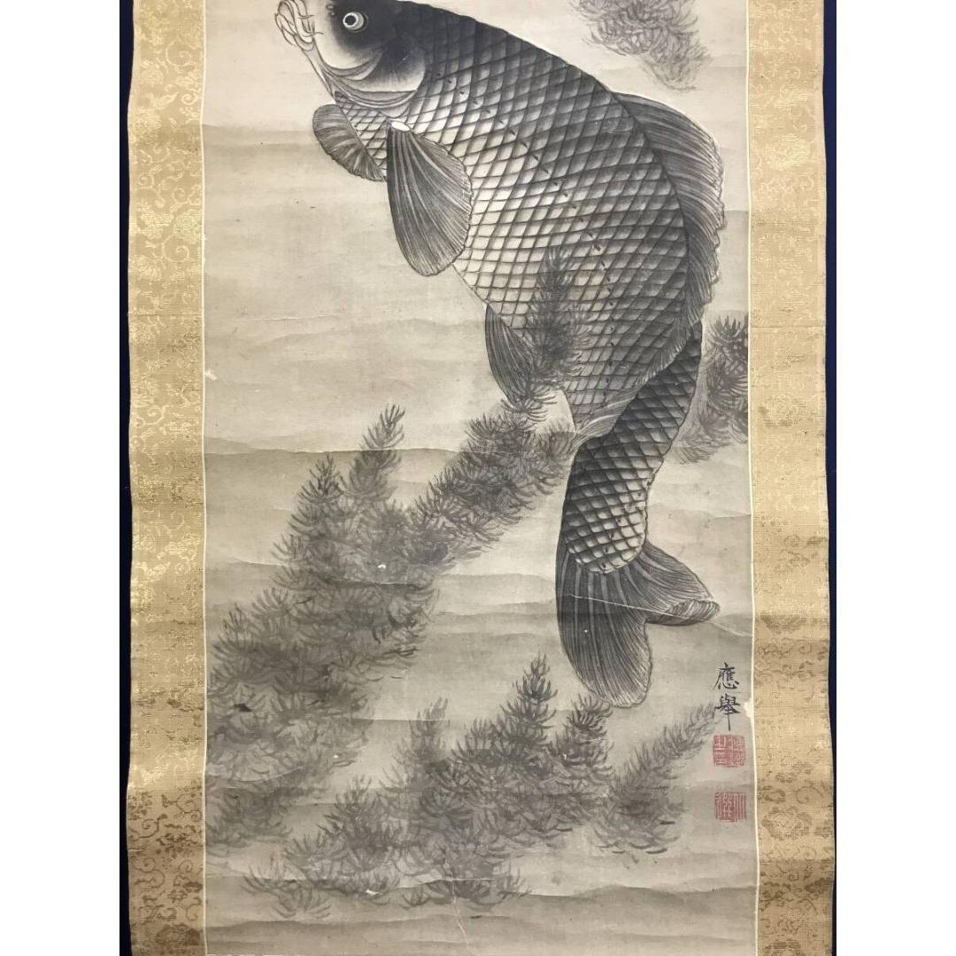 模写/円山応挙/鯉図/游鯉/遊鯉/花鳥図/掛軸☆宝船☆AK-617