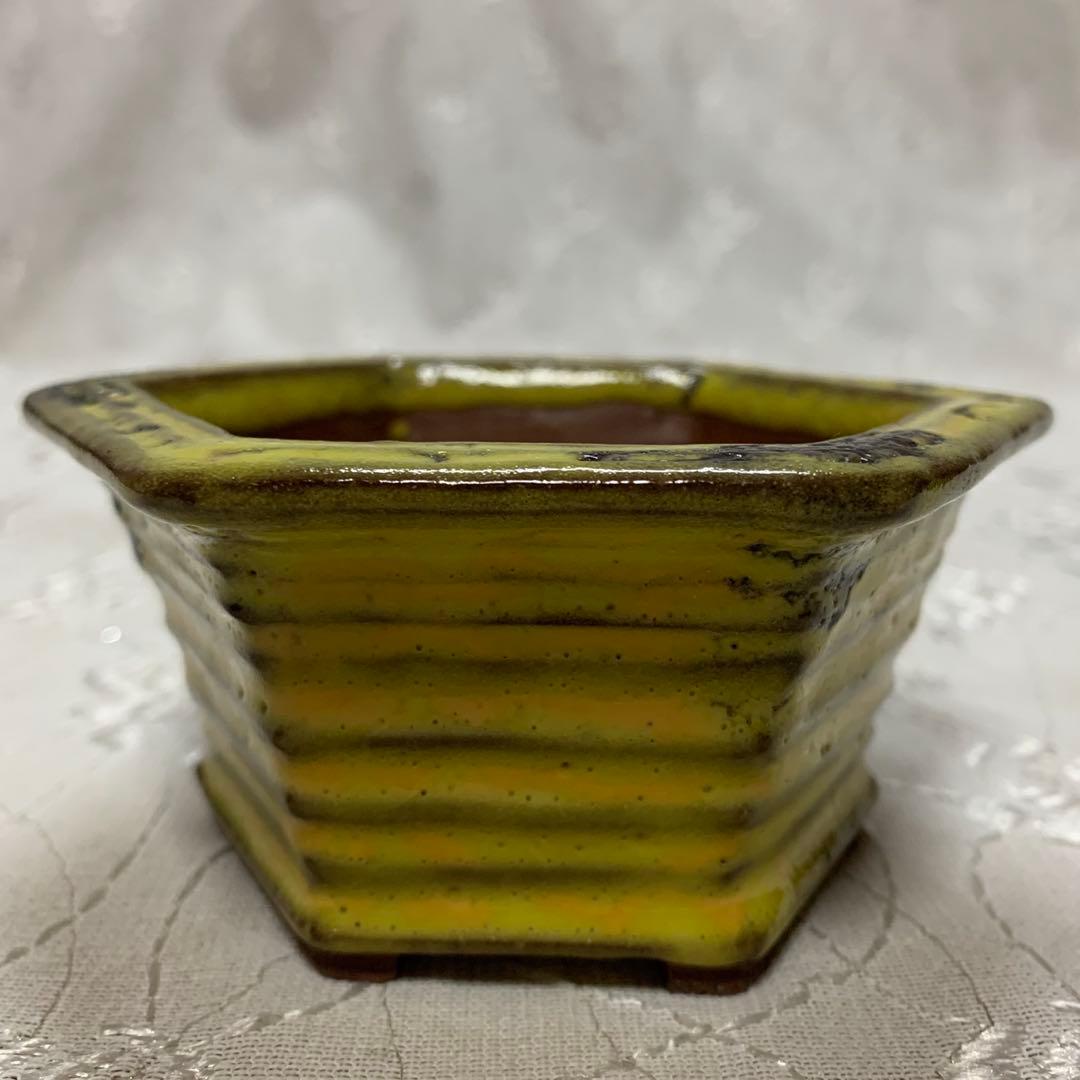 六角　盆栽鉢　黄