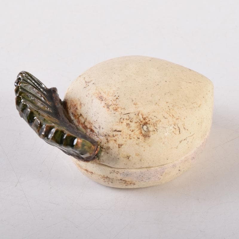 茶道具　白倉窯　伊村彰介作　蕪形　香合　共布共箱　V　8128