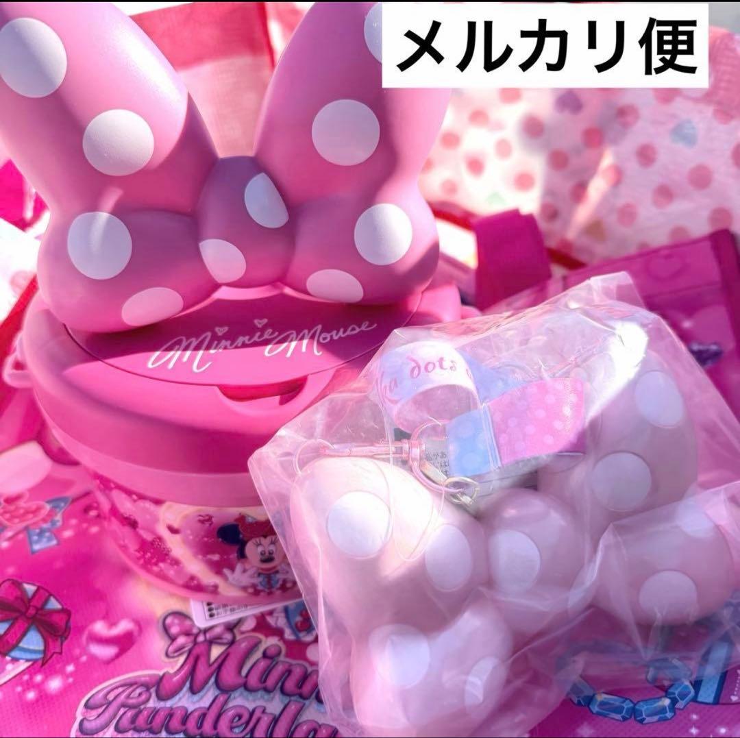 ディズニー　スーベニアスナックケース　パルパルーザ　ミニーのファンダーランド