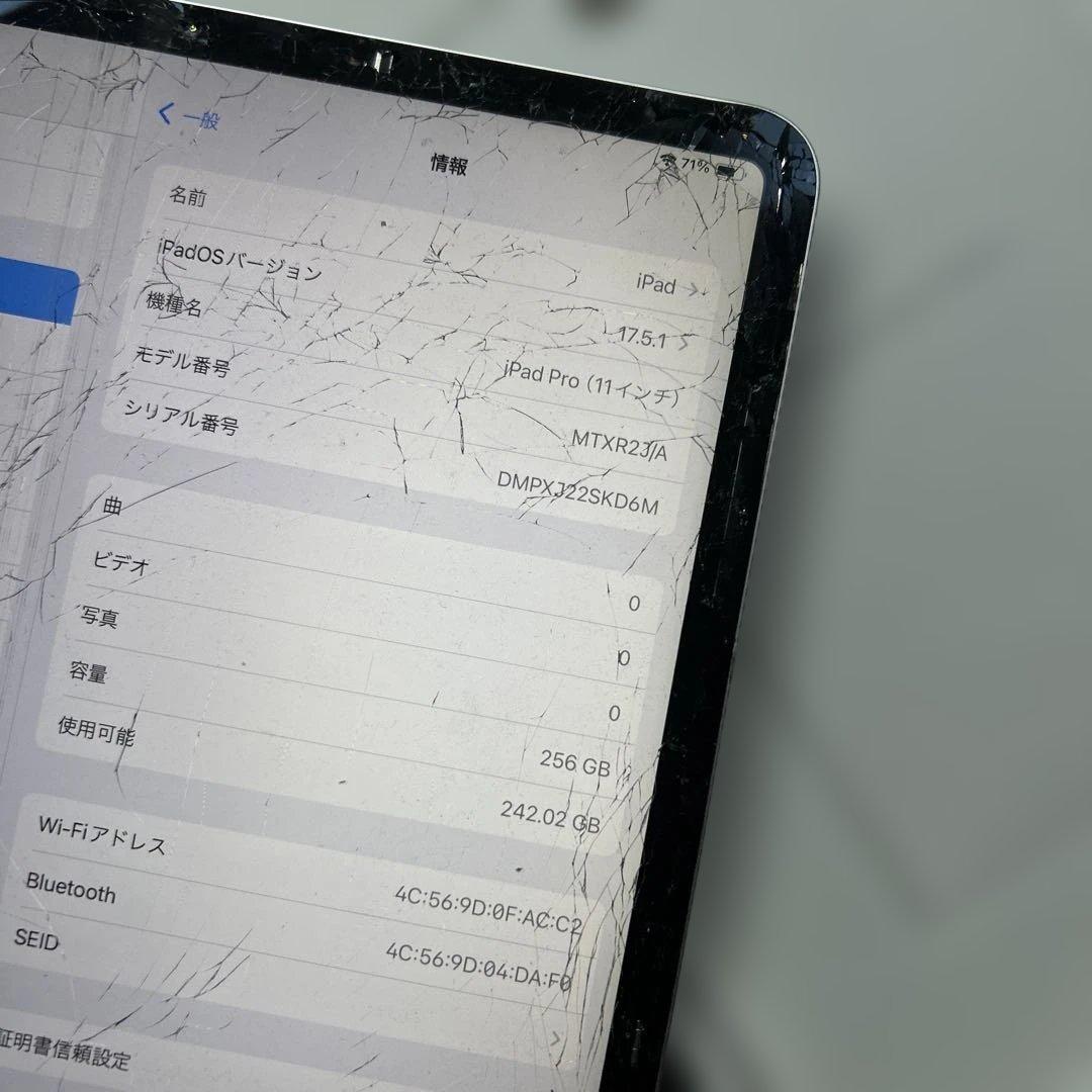 iPad Pro 11インチ　第1世代　Wi-Fi 256GB 割れあり
