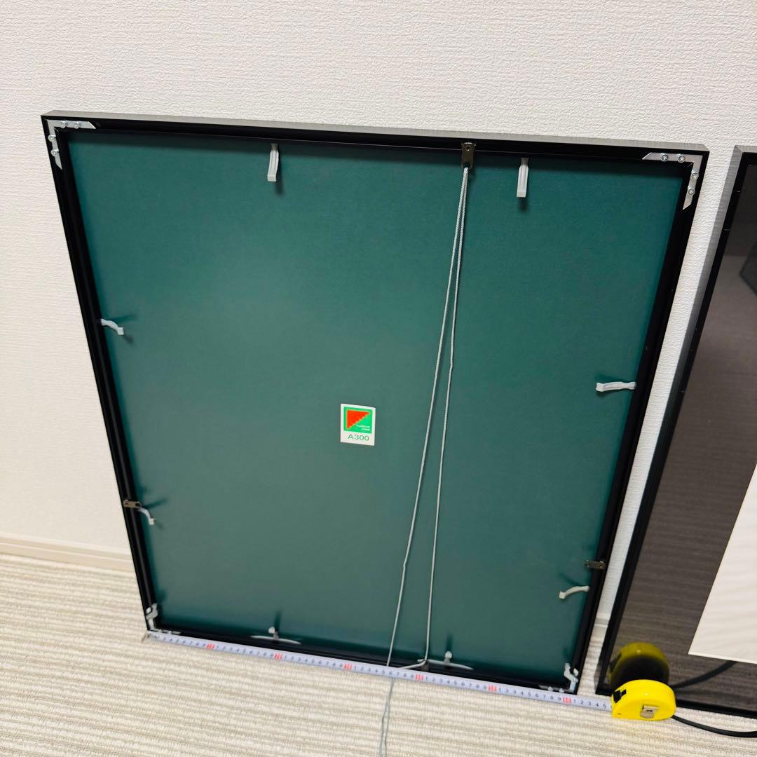 【3枚セット！】フジカラー A300 全紙 アルミ額縁