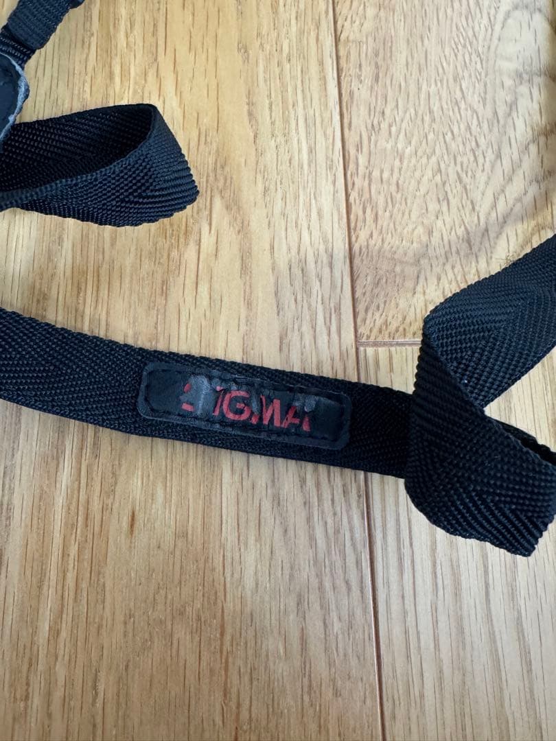 シグマ SIGMA DP2x