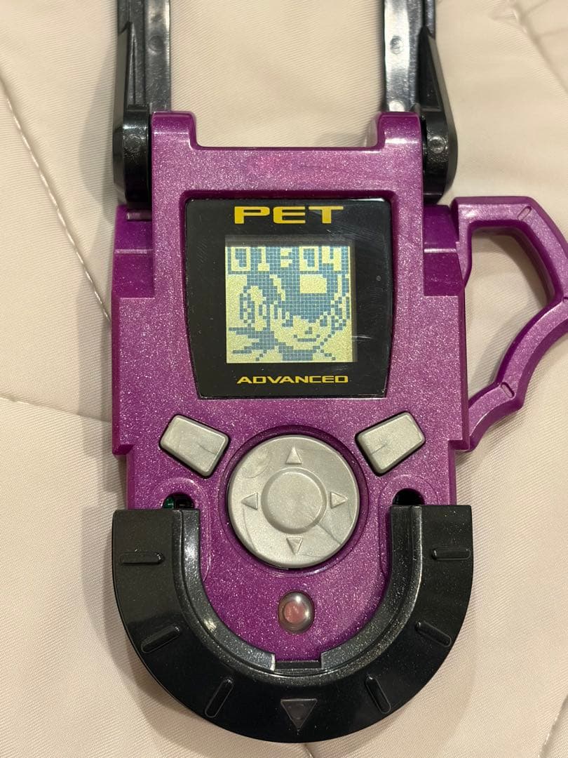 【希少】ロックマンエグゼ4 アドバンスドペット フォルテver. ＋チップ14枚