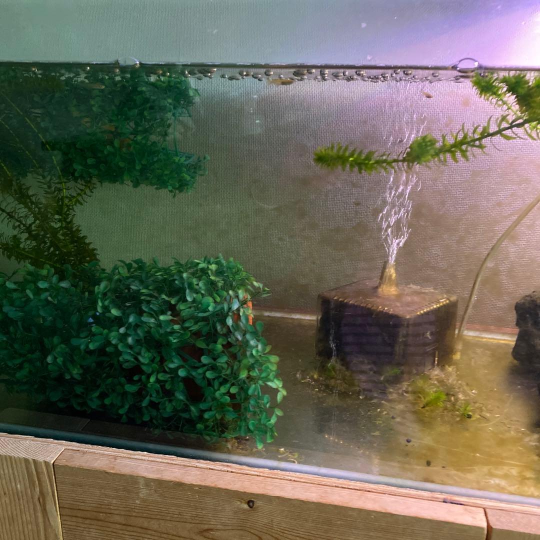 水槽１２０&水槽台　発送しません。手渡しのみ