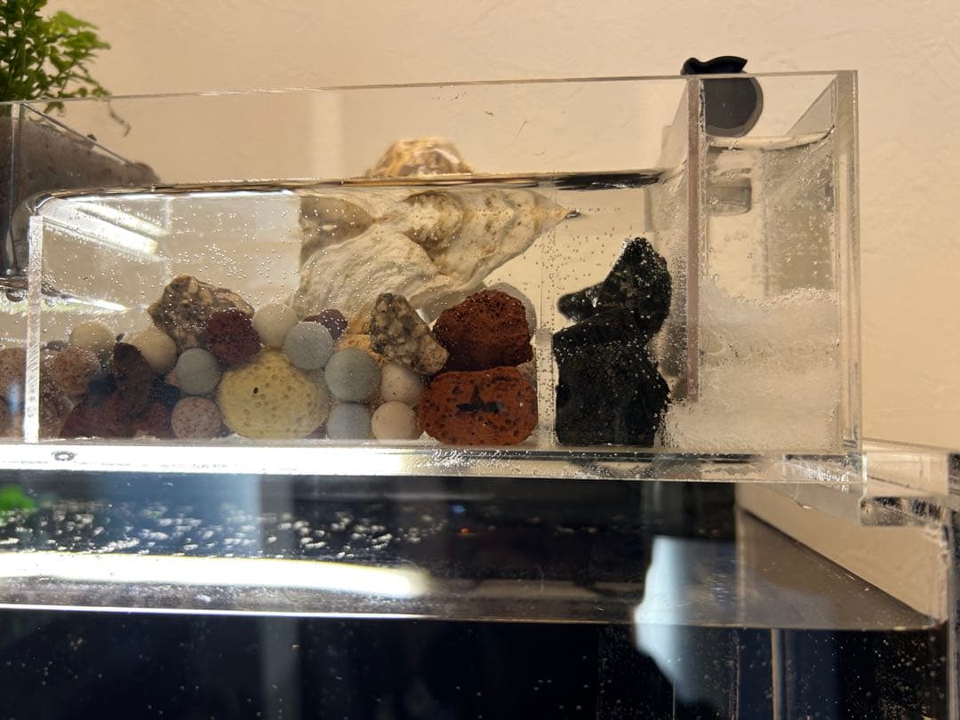 アクリル水槽 上部濾過アクアポニックス