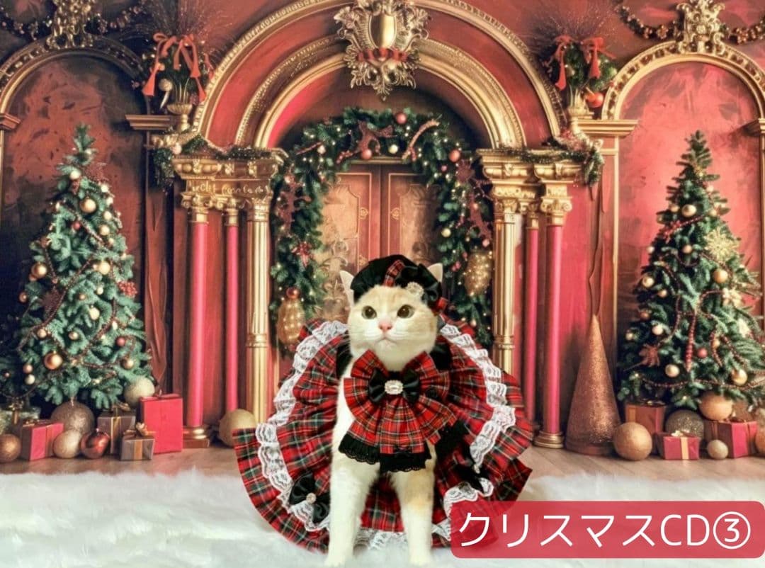 業務用　2026年お正月トリミングチョーカー+背景布×3　ペット、犬撮影用ブース