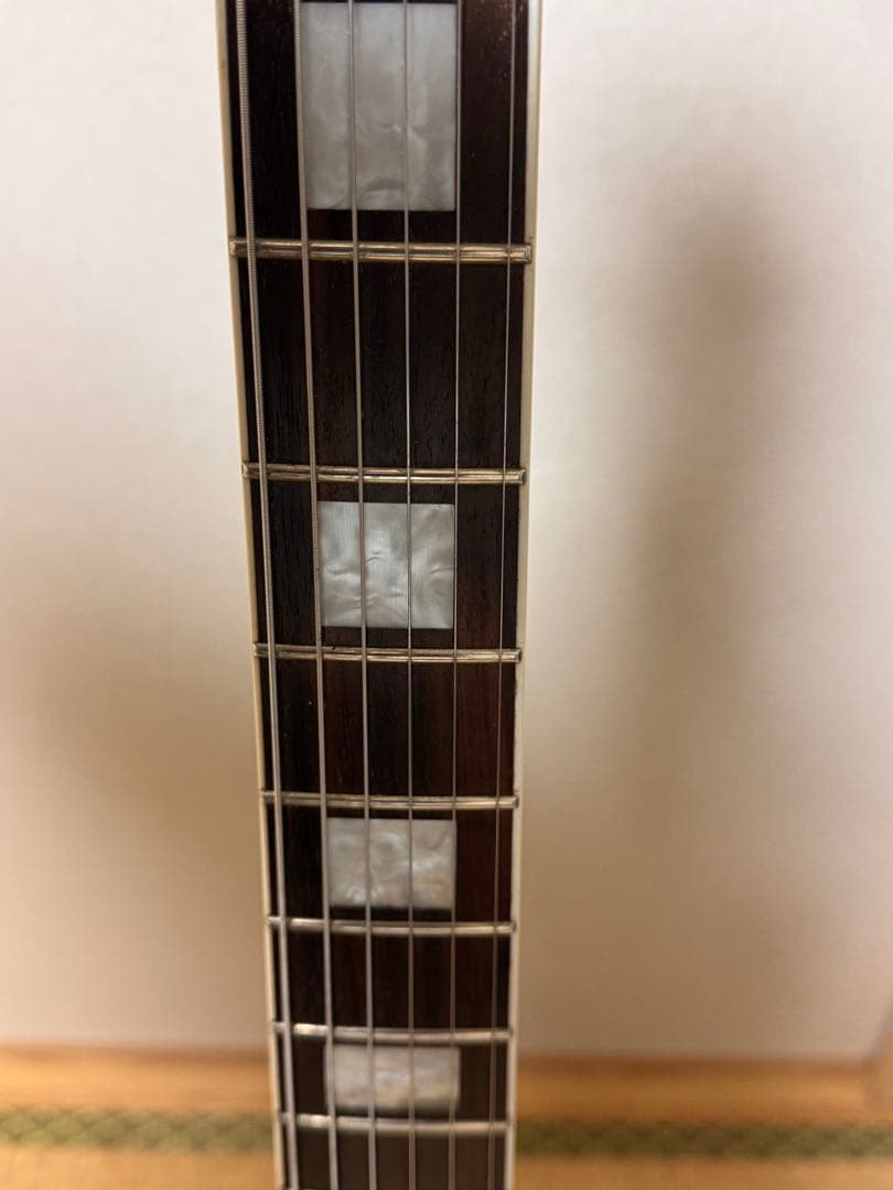 ギター Epiphone LTD LP CUS BLACKBACK PRO