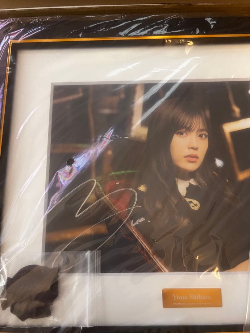 乃木坂46 乃木フェス 直筆サイン入りオリジナルキャラファイングラフ 柴田柚菜