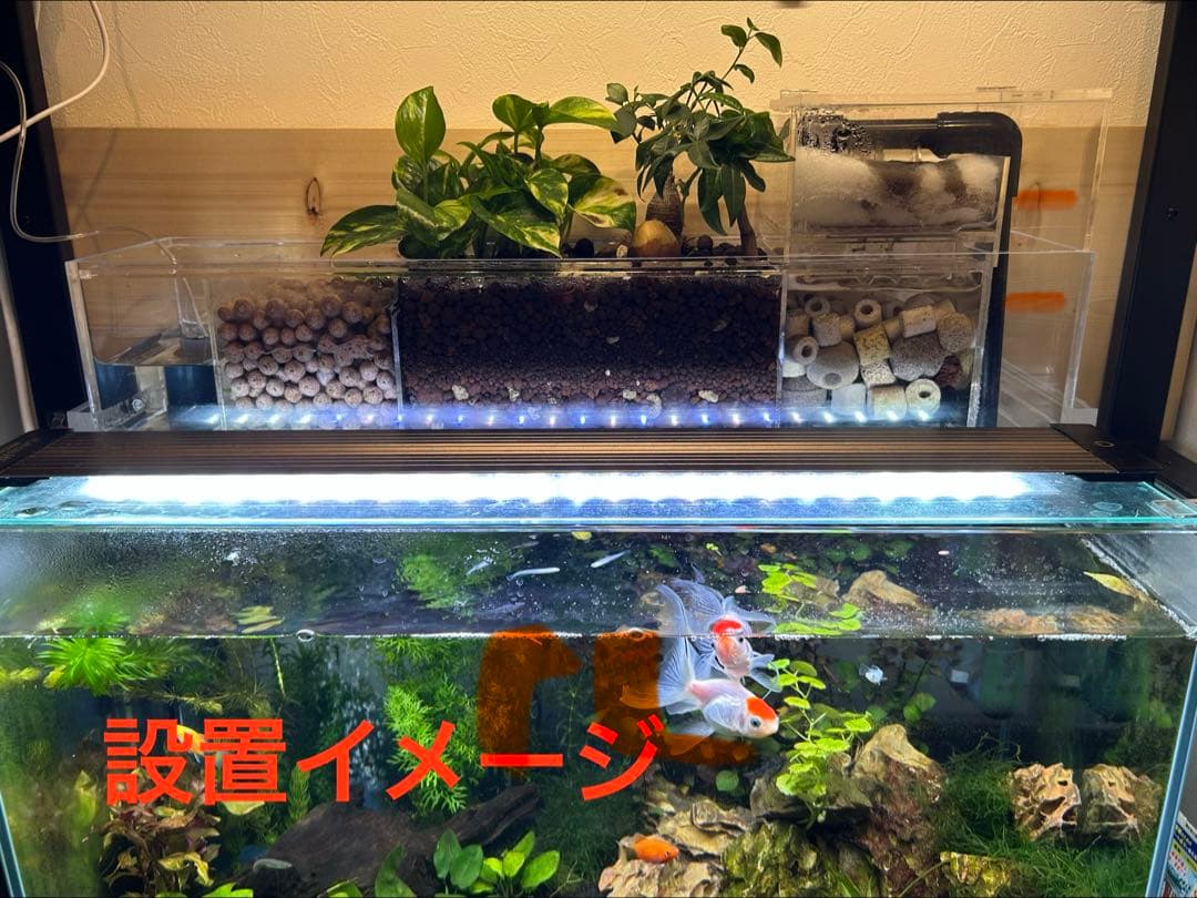 60cm水槽用　アクリル製上部濾過式アクアポニックス仕様