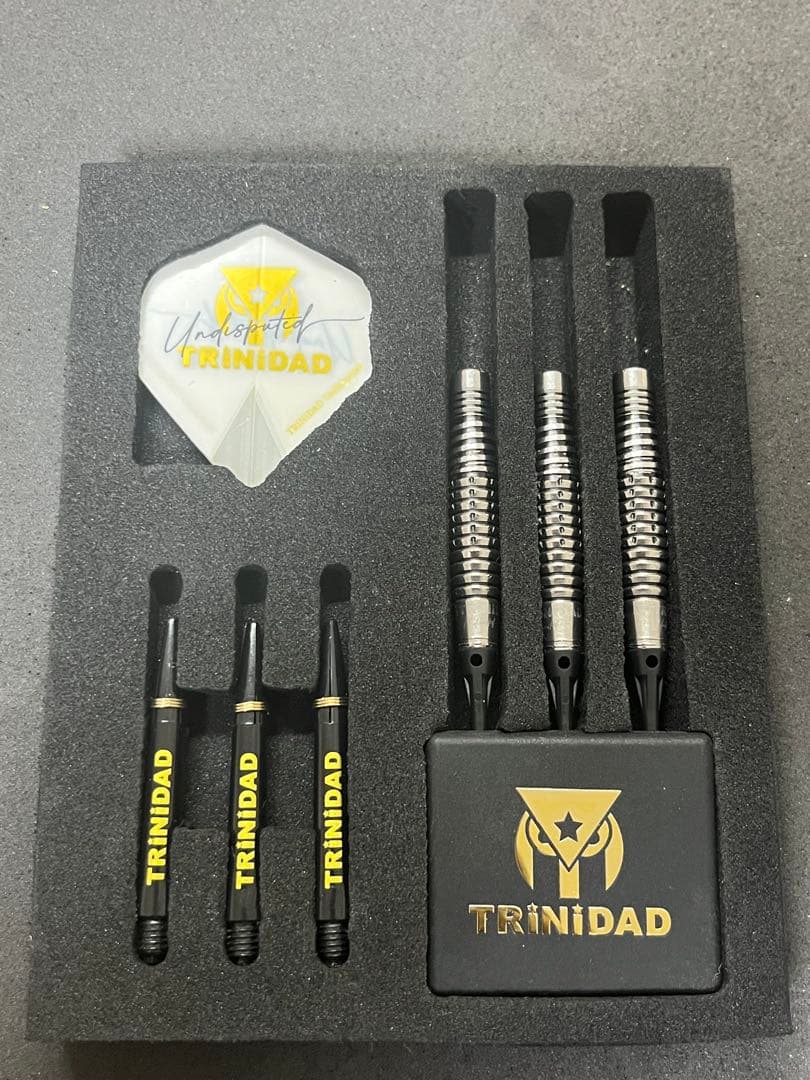 リカルドロペス 浅田斉吾選手 エスダーツ限定モデル　トリニダード