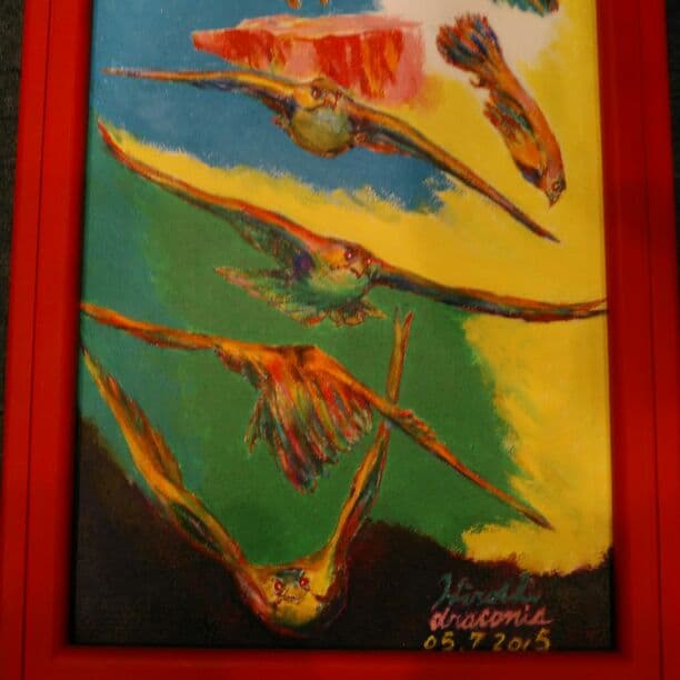 アメリカハヤブサ