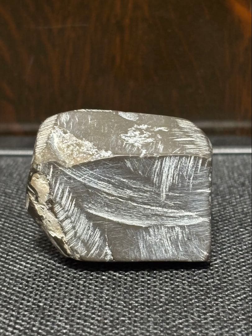 ニッポニテス　ミラビリス　芦別上流産　化石　アンモナイト　超希少　良品