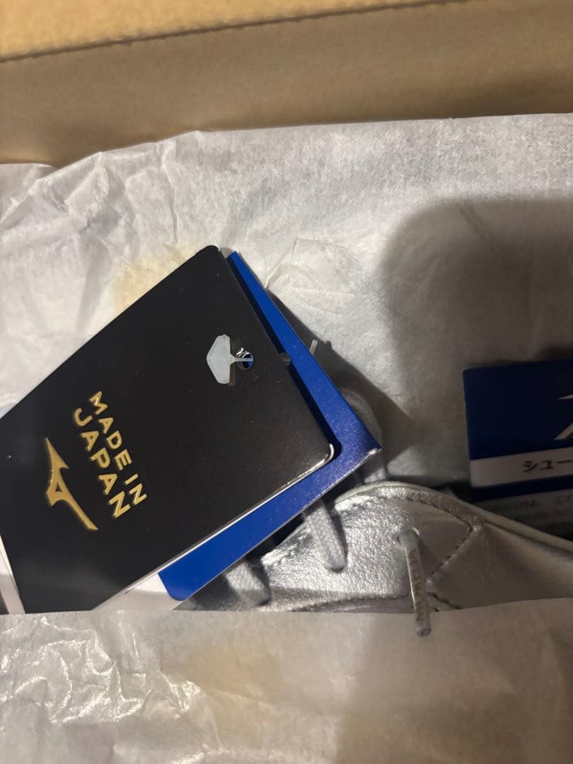 MIZUNO モレリアDNA 27.0㎝