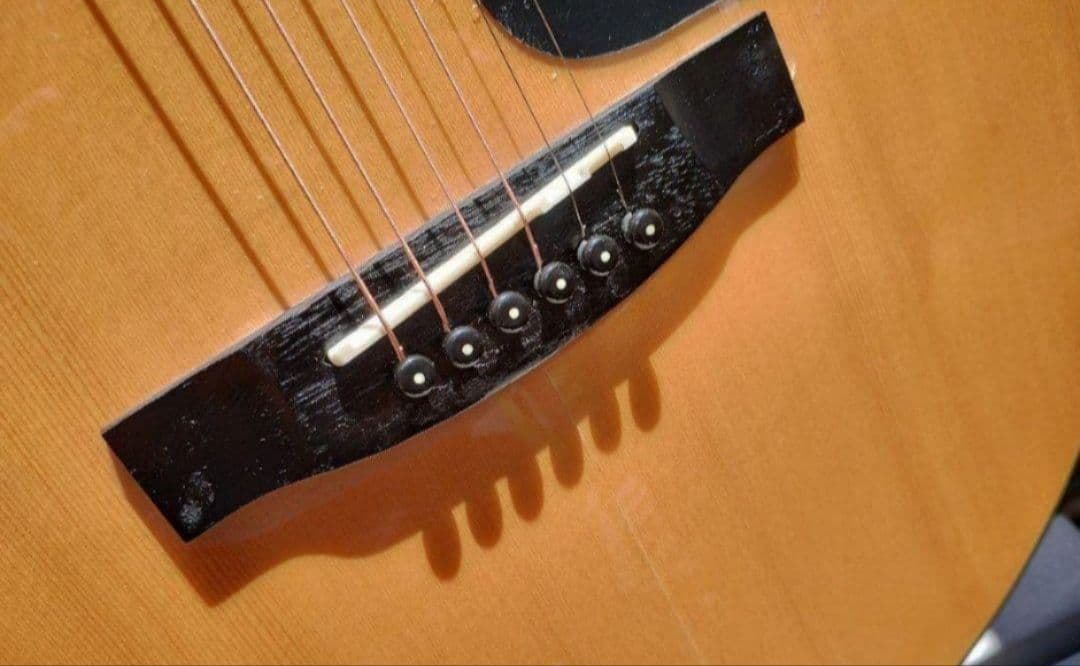 超美品 Takamine T-F2N PU付きエレアコ 生産終了品！