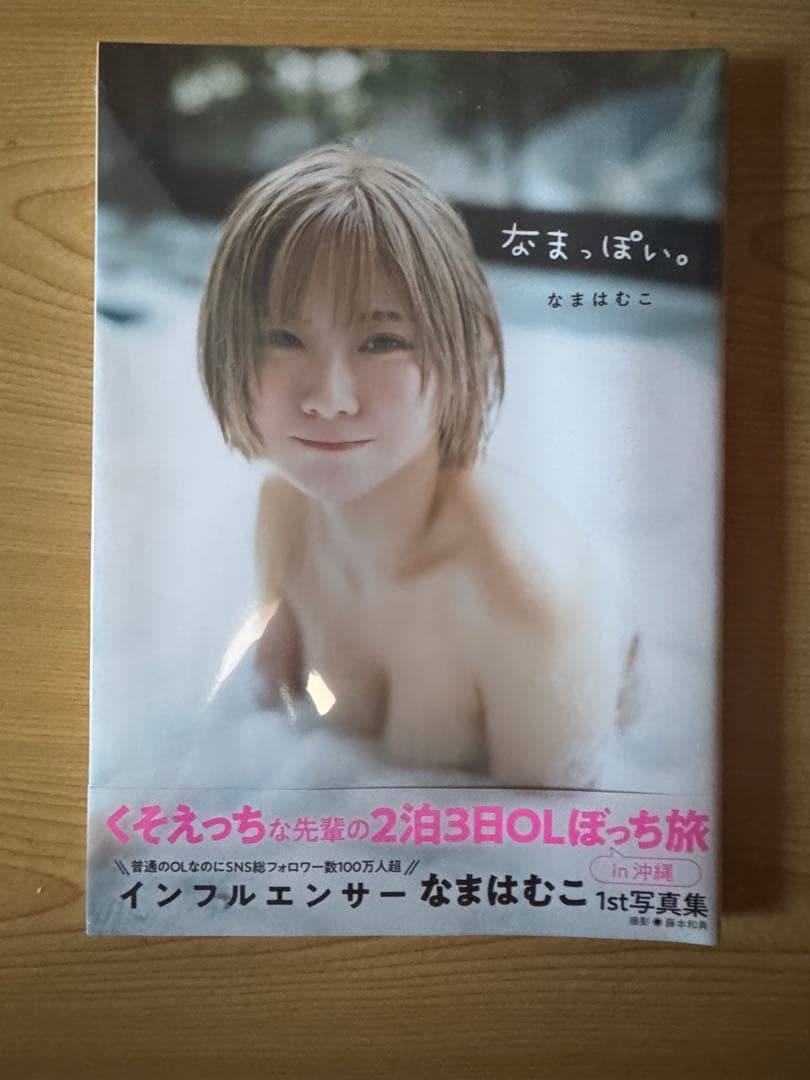 数量限定 なまはむこ写真集＆限定非売品セット