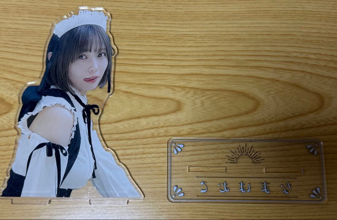 数量限定 なまはむこ写真集＆限定非売品セット