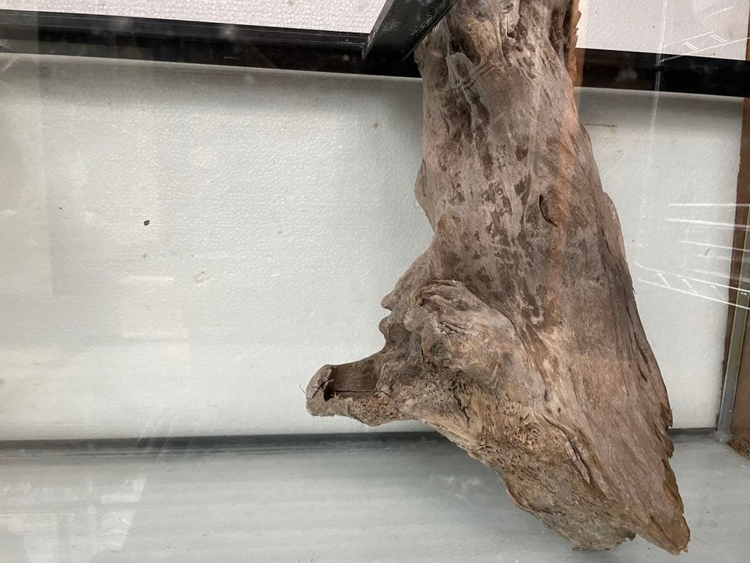 大型　☆アクアリウム　生花　テラリウム 爬虫類　天然流木 ホーンウッド　⭐︎