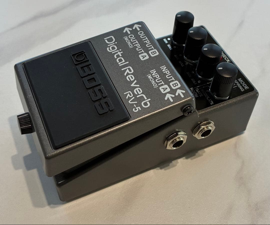【解決ペロ美】BOSS Digital Reverb RV-5