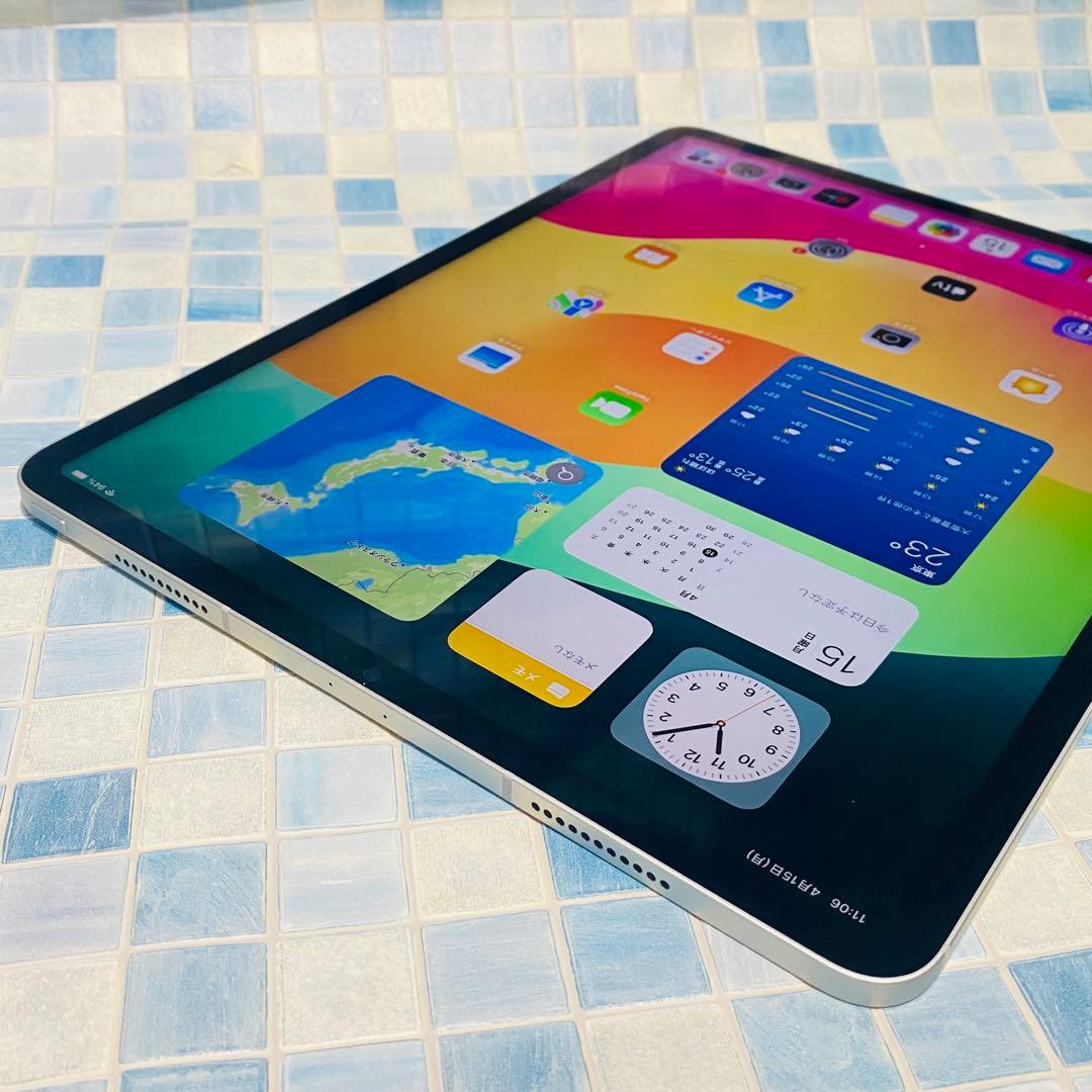 iPadPro 12.9 第5世代 本体 1TB セルラー SIMフリー