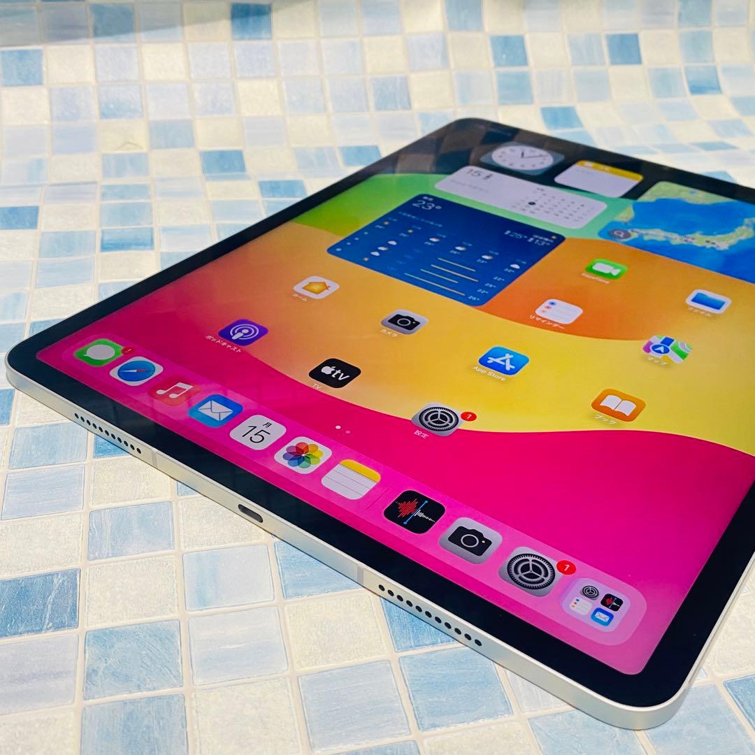 iPadPro 12.9 第5世代 本体 1TB セルラー SIMフリー