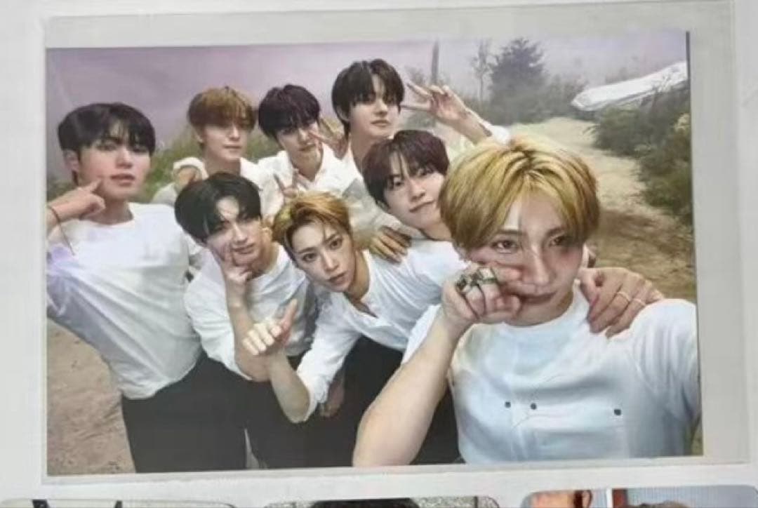 ALD1 EUPHORIA ショーケース showcace ポストカード A