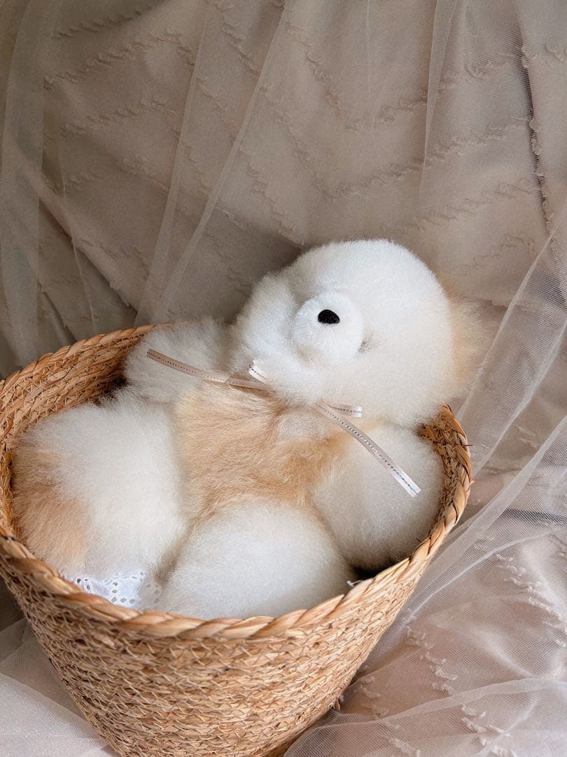 ふわふわアルパカテディベア (ペルー直輸入) ホワイト×ベージュ