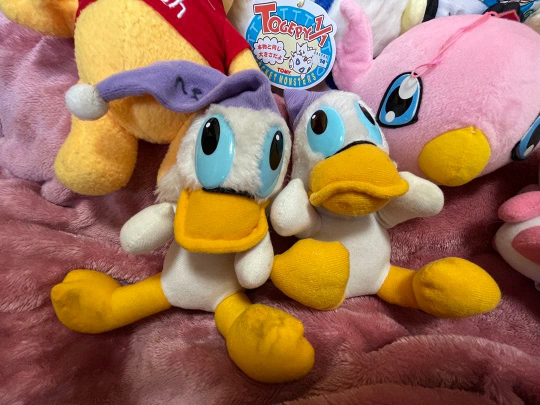 ぬいぐるみ 人形 まとめ売り ポケモン ドナルド キャベツ人形 ウナギイヌ 等