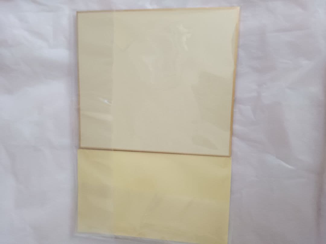 石田千穂　当選品　直筆サイングッズ　　STU48