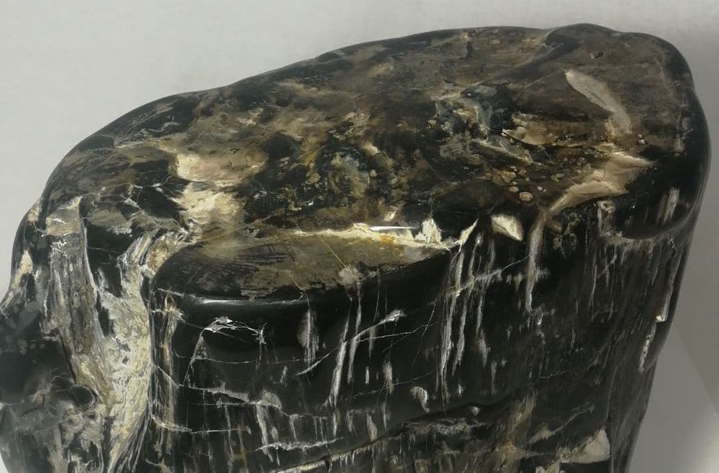 木化石　置物　鑑賞石　台座付