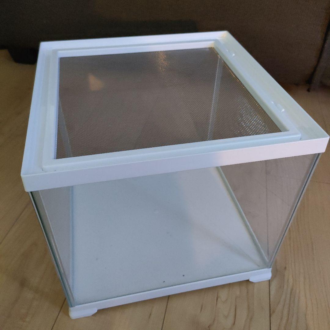 エキゾテラ　小型ガラス飼育ケージ メッシュ蓋付き　爬虫類　ケージ