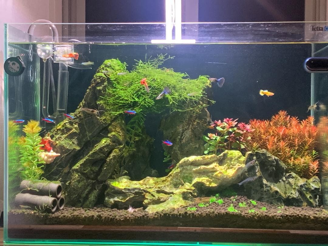 水草水槽用ライト Netlea AT3 PRO 65 W スマートLED