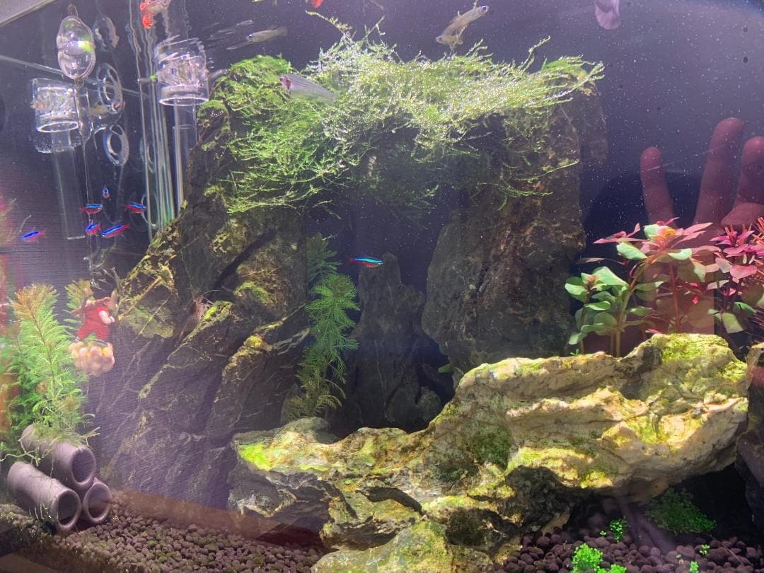 水草水槽用ライト Netlea AT3 PRO 65 W スマートLED