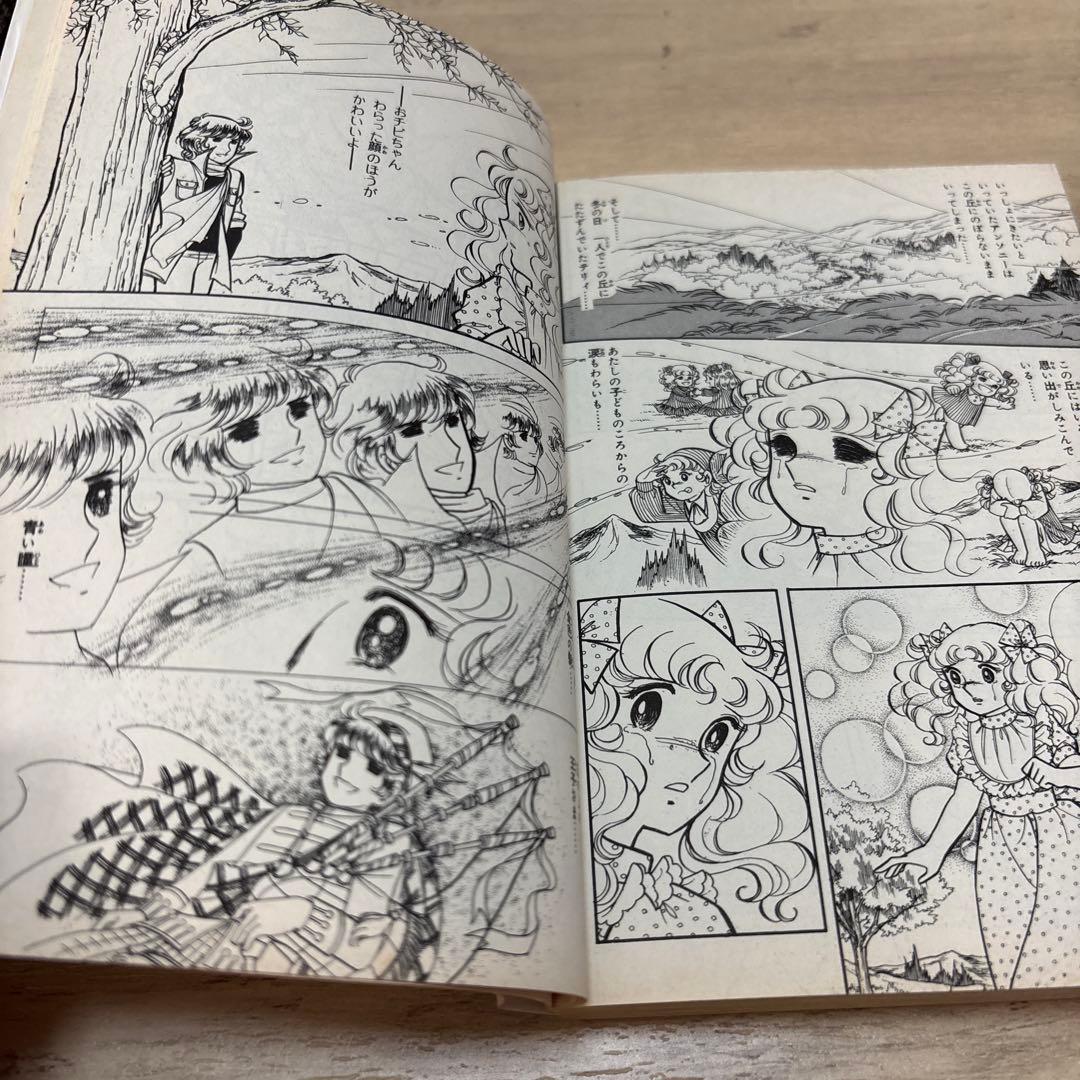 キャンディ♡キャンディ いがらしゆみこ 文庫版 全巻セット②