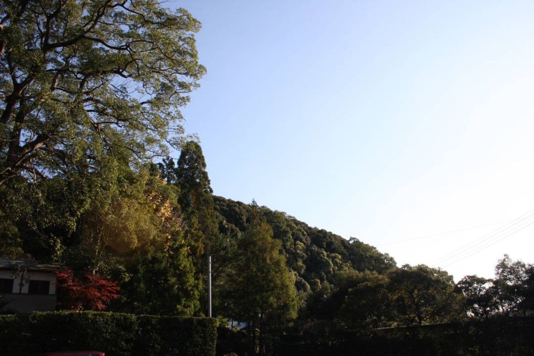 ショウゴ様　　CANON　EOS40D ダブルレンズ♥初心者　キャノン♥超望遠♥